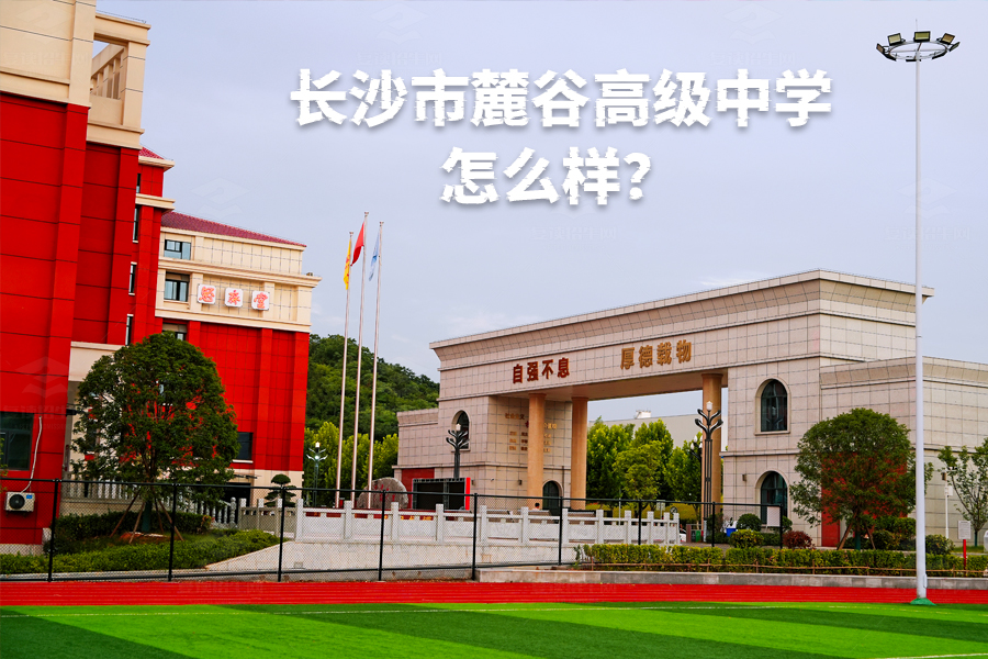 长沙市麓谷高级中学怎么样?看看过来人怎么说!