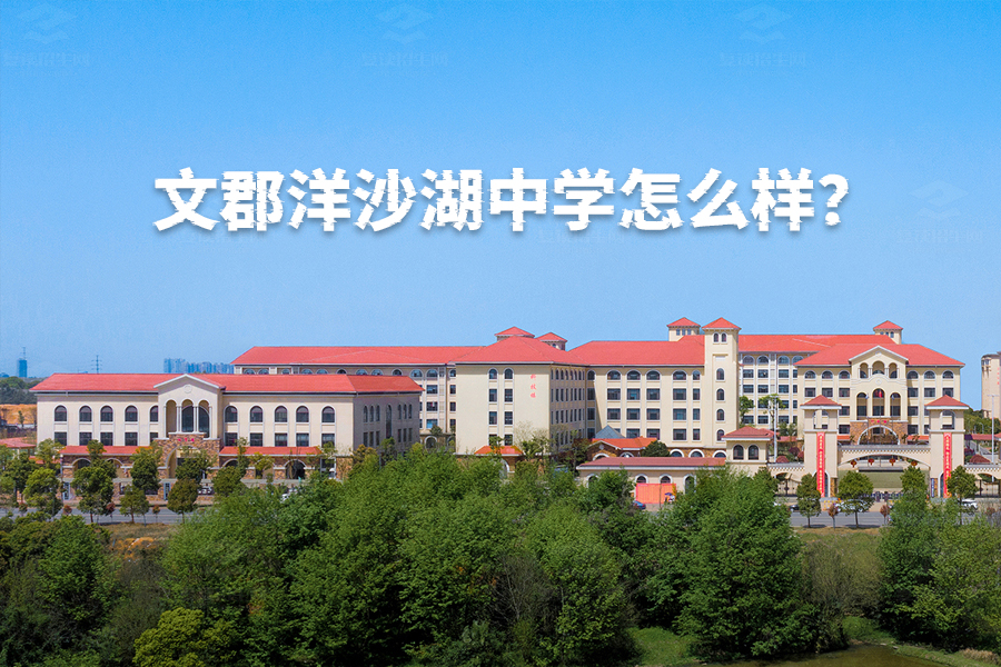 长沙市金秋方舟高级中学怎么样?深入解析这所高品质现代化中学的独特魅力!