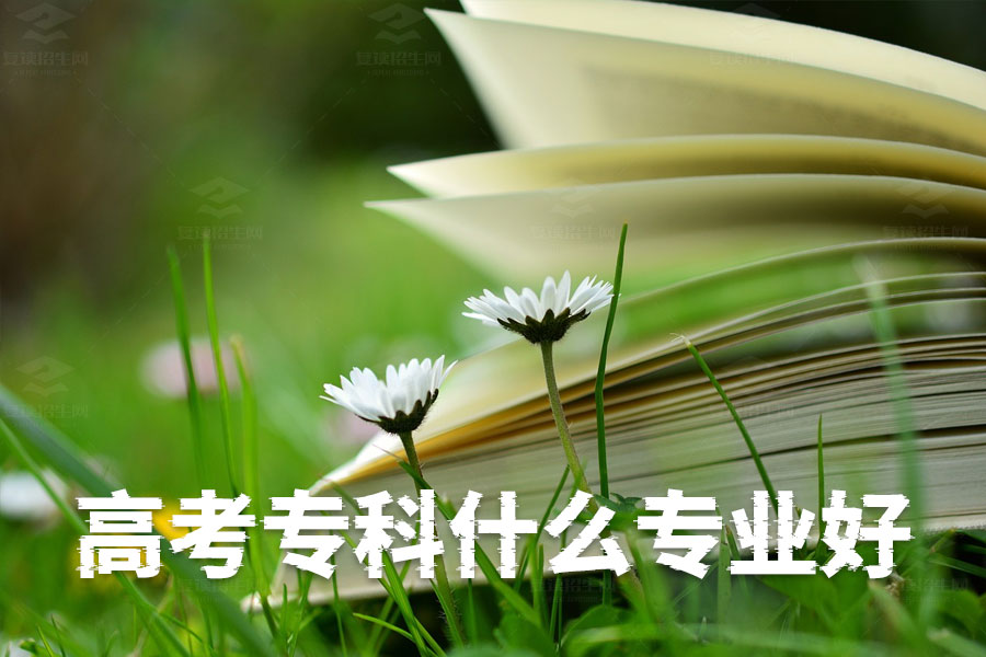 高考2024必读!专科生这10个专业就业前景超好!