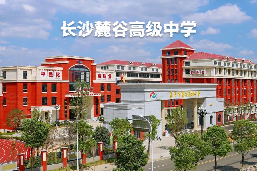 长沙麓谷高级中学,民办学校中的佼佼者