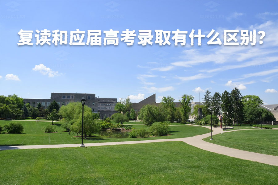 复读和应届高考录取有什么区别?了解这些差别,让你选择更明智