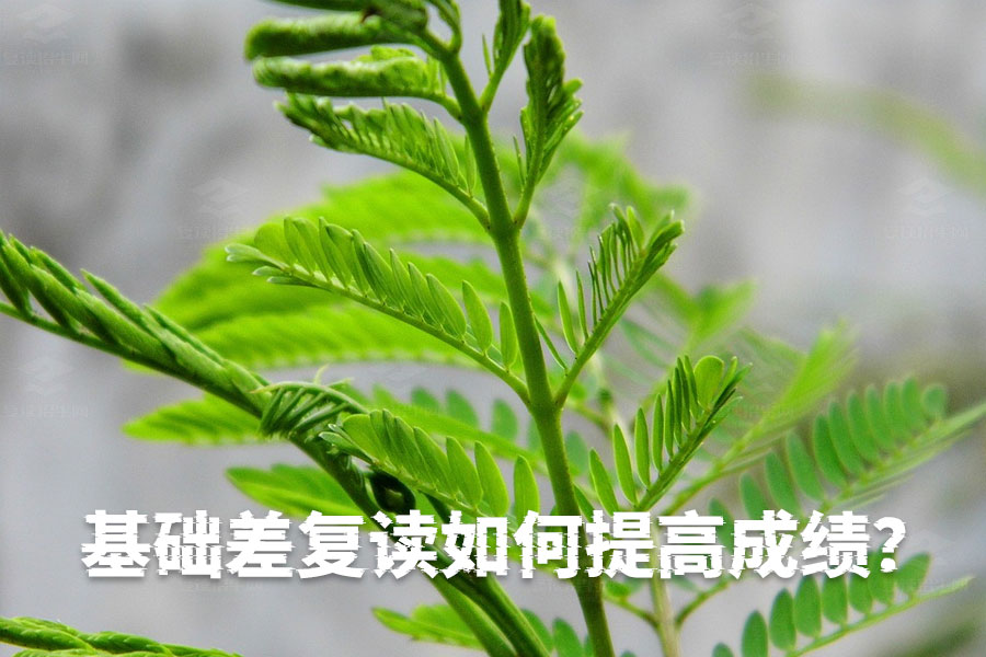 基础差复读如何提高成绩?这几招帮你快速提升!