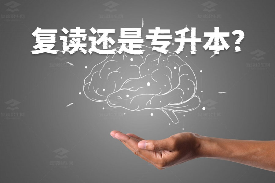 复读还是专升本?一文帮你解答哪个选择更好!