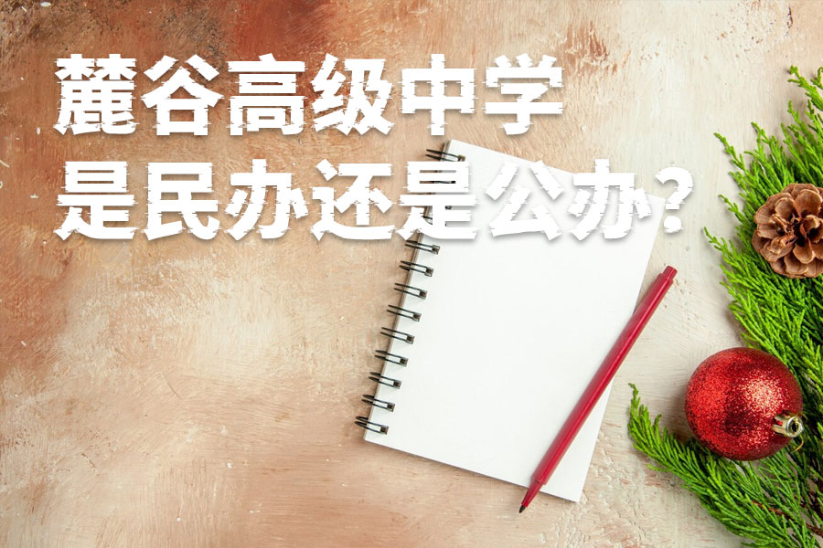 麓谷高级中学是民办还是公办?一文揭秘学校性质