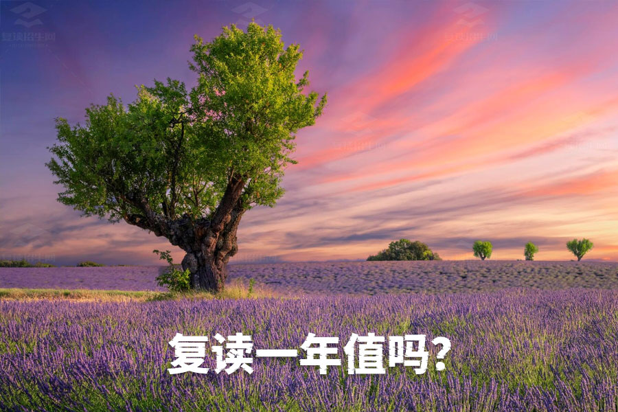 复读一年,是否值得?——深度解析与全面指南