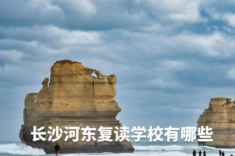 长沙河东复读学校有哪些