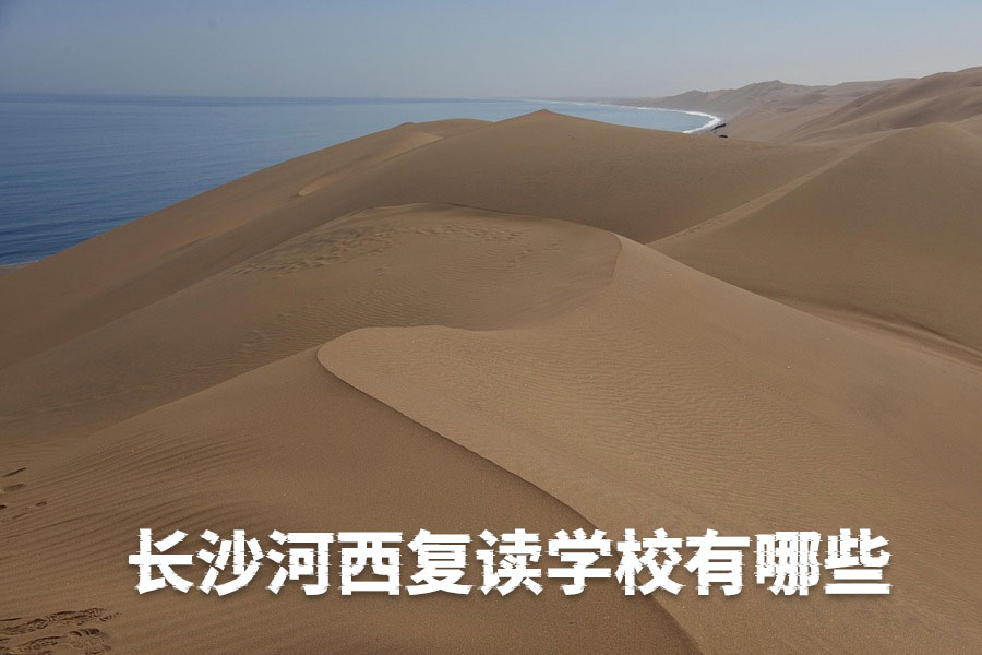 长沙河西复读学校有哪些,排名前几是哪些