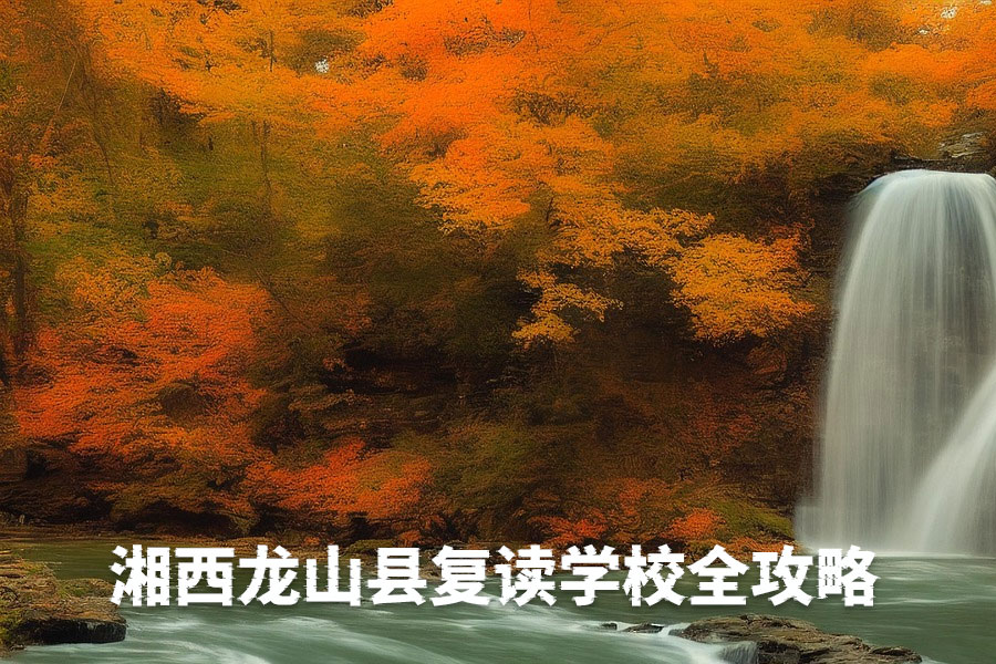 湘西龙山县复读学校全攻略