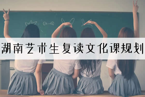 湖南艺术生复读文化课规划:精准策略助力逆风翻盘
