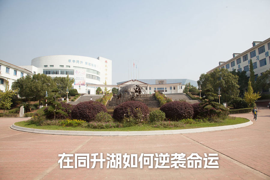 复读这一年，我在同升湖如何逆袭命运：一个班主任见证的蜕变故事