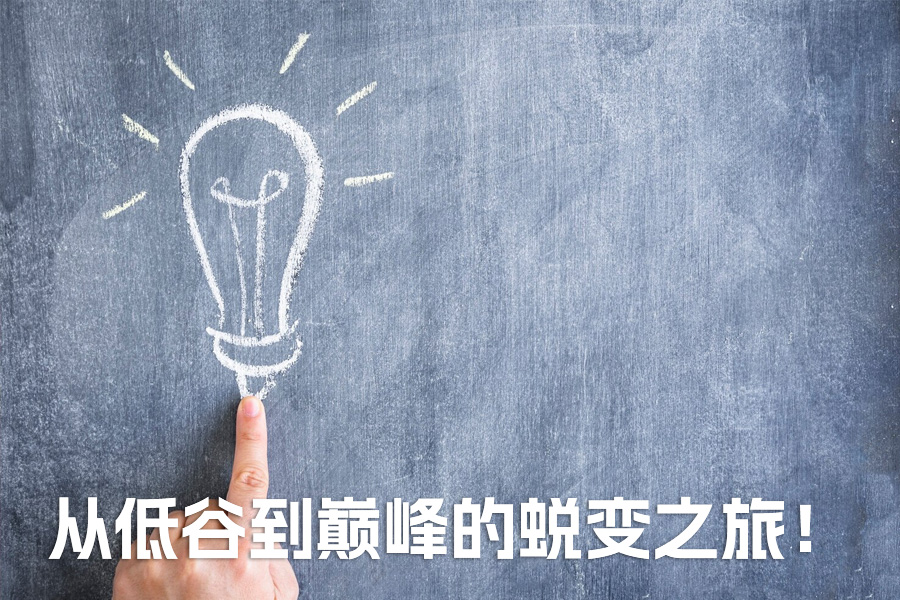 一年拼搏，从低谷到巅峰的蜕变之旅！