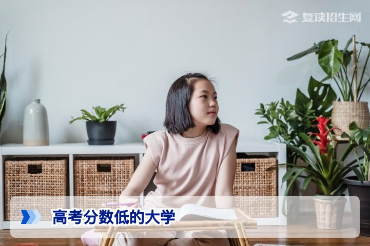 高考分数低能上哪些大学？2026年低分考生择校与复读权衡指南