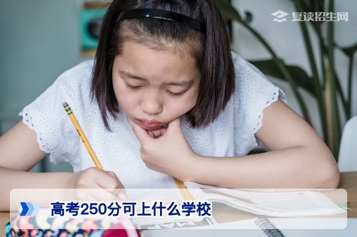 高考250分可上什么学校？2026年专科院校与复读择校指南