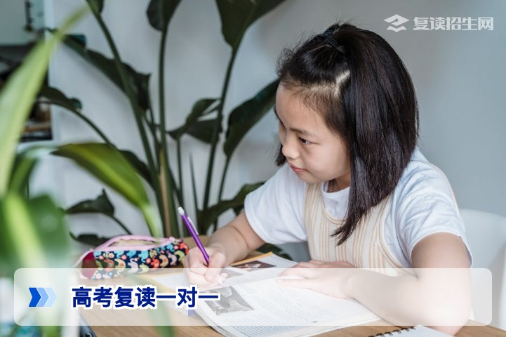 2026高考复读一对一辅导全攻略：效果、费用与避坑指南