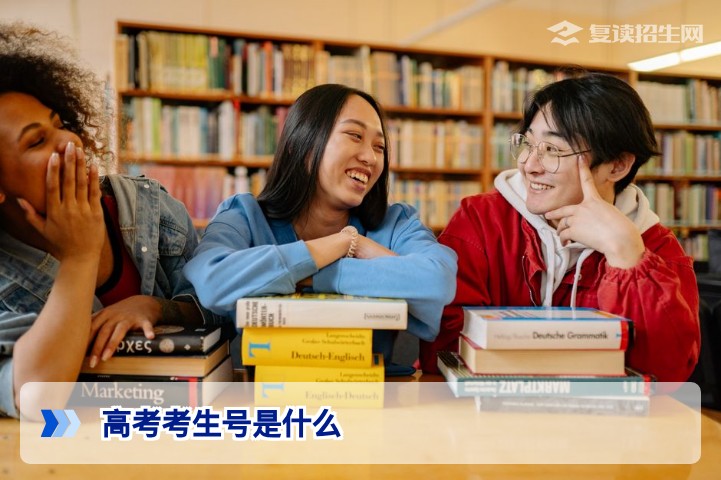 高考考生号是什么？2026年复读生必知的考生号含义与查询指南