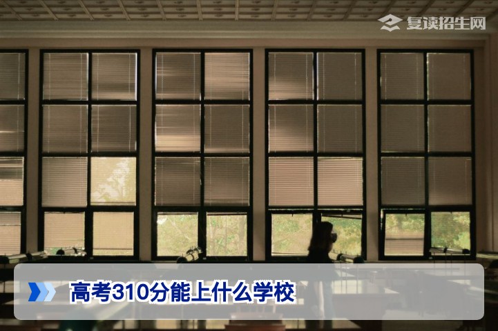 高考310分能上什么学校？2026年专科院校选择与复读建议