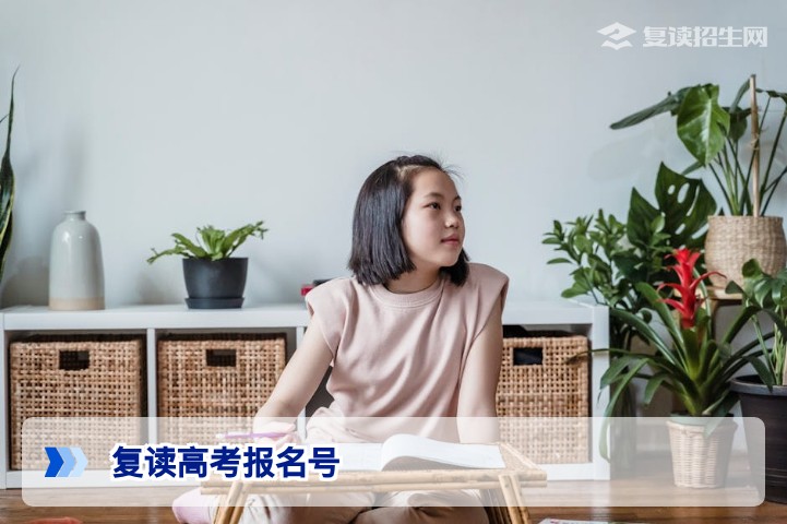 复读高考报名号详解:2026届复读生如何获取与使用(附避坑指南)