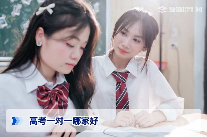 2026高考一对一辅导哪家好？资深专家教你这样选，提分效果看得见