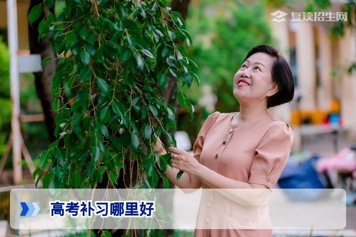 高考补习哪里好？2026年复读生择校全攻略（口碑+数据）