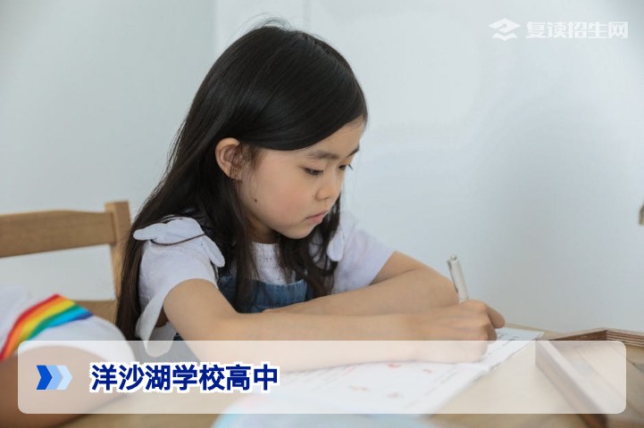 洋沙湖学校高中深度解析：2026届复读生择校指南与提分策略