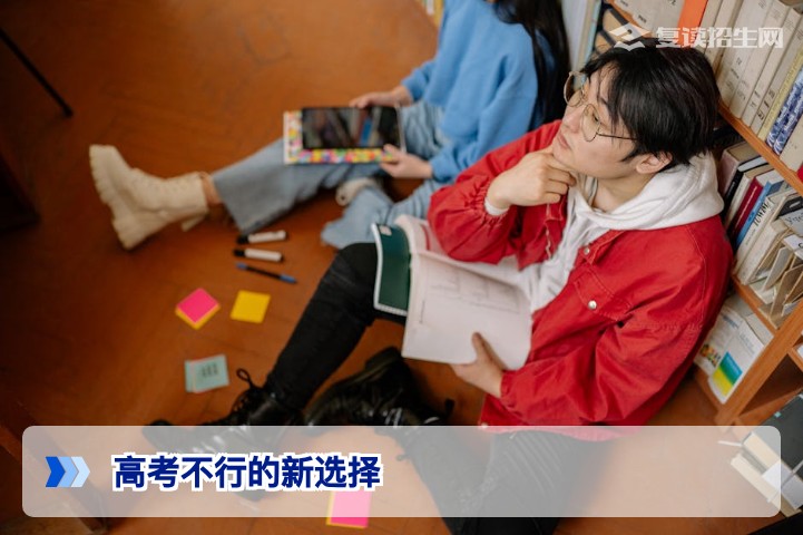 高考不行的新选择:2026年复读、职业教育、国际升学全解析