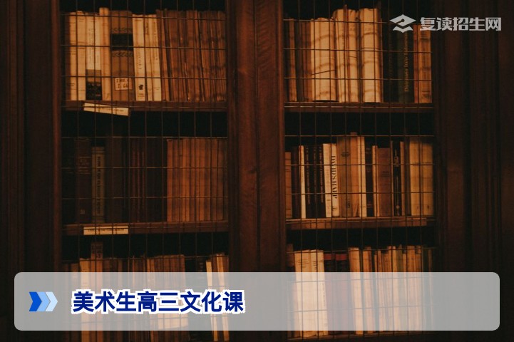 2026届美术生高三文化课冲刺：高效提分策略与避坑指南