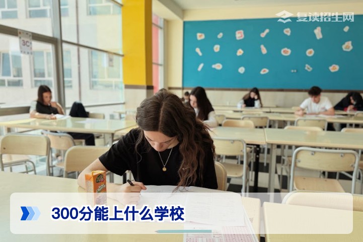 2026年高考300分能上什么学校?复读与专科选择的深度分析
