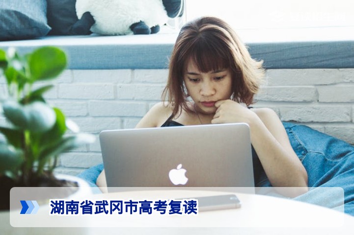 湖南省武冈市高考复读全攻略：2026年复读政策与提分方案