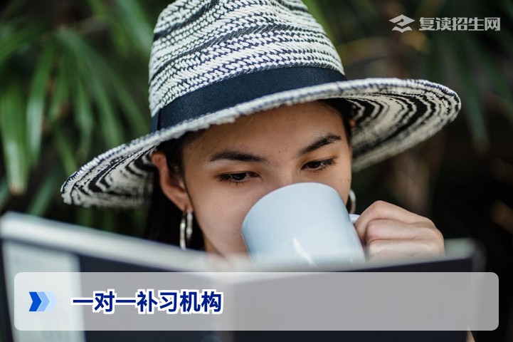 2026年高考复读一对一补习机构全解析:提分效果、选择策略与避坑指南