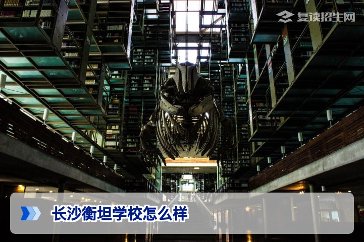 长沙衡坦学校怎么样?2026届复读生真实评价与深度解析