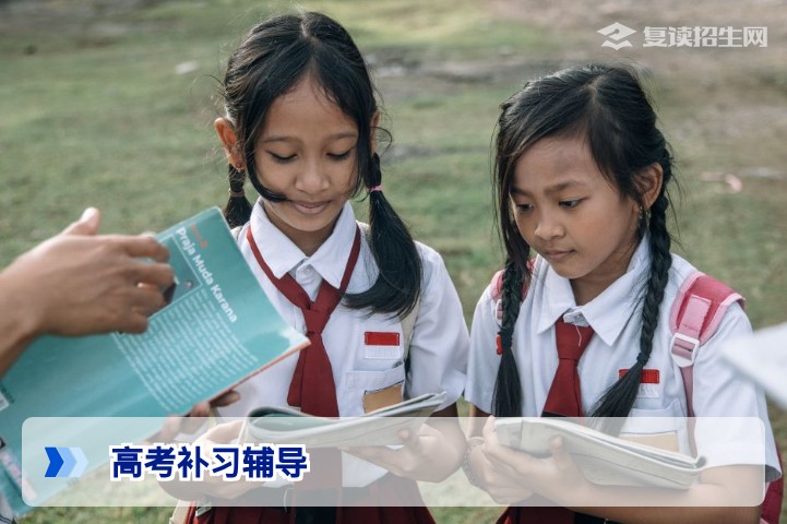 2026高考补习辅导全攻略:从滑档到提分的科学选择与备考策略