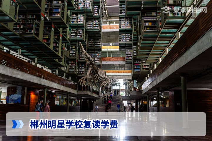 郴州明星学校复读学费多少？2026年最新收费标准与择校建议