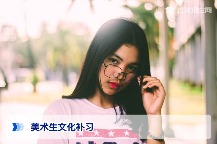 2026届美术生文化课补习全攻略:提分策略与避坑指南