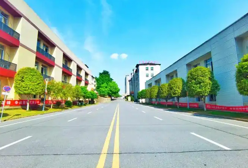 株洲市新凤凰高级中学