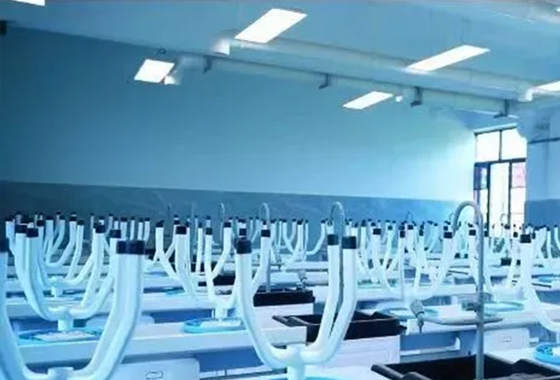 邵阳市湘师高级中学
