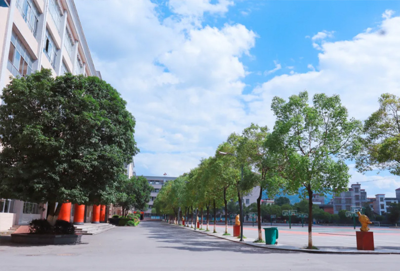 武冈市佳康高级中学