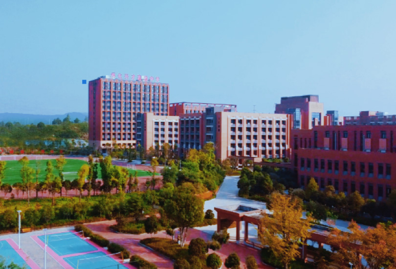 怀化市鹤城区刘霖学校 ﻿