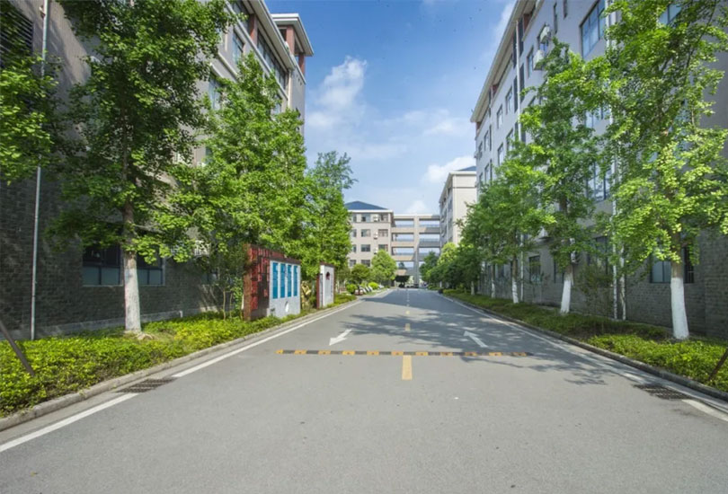 耒阳市杜甫高级中学