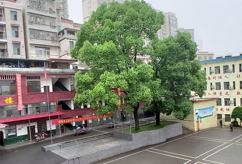 武冈市武思高级中学